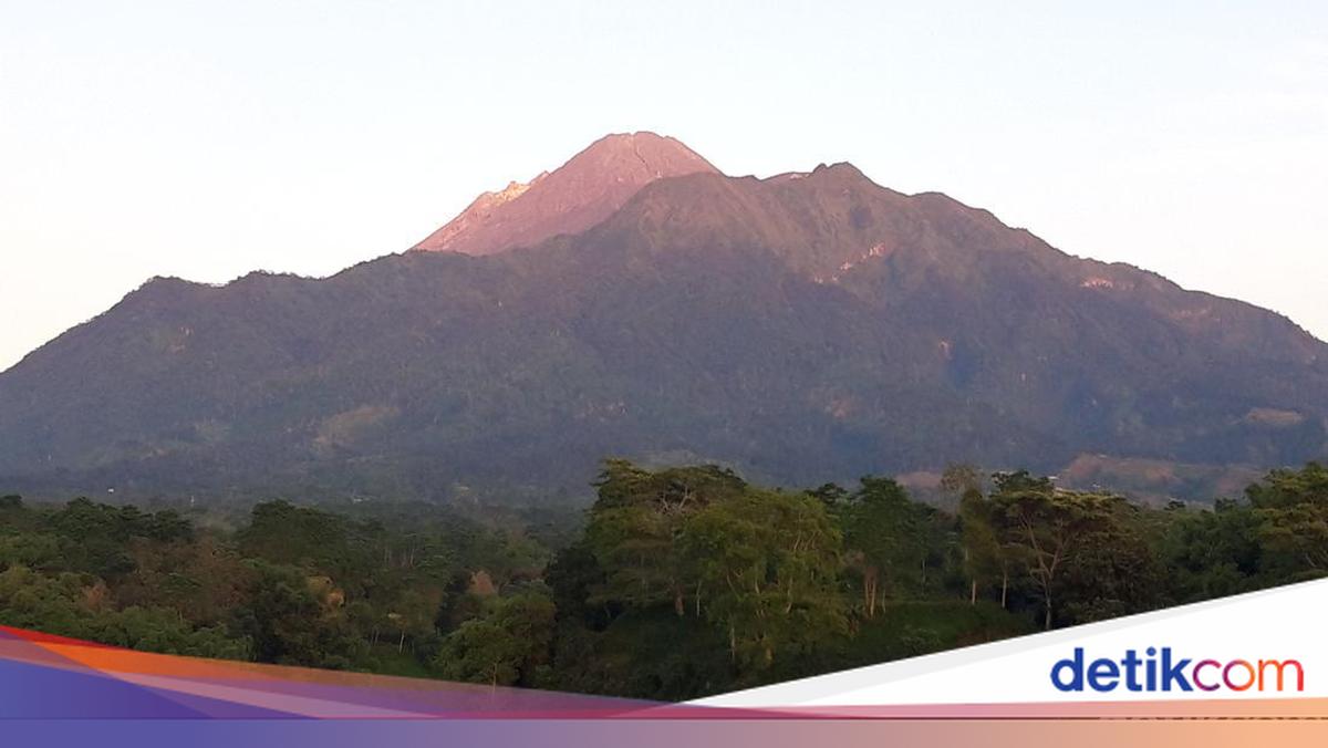 2 Pendaki Ilegal Hilang di Gunung Merapi, 1 Orang Ditemukan Lemas