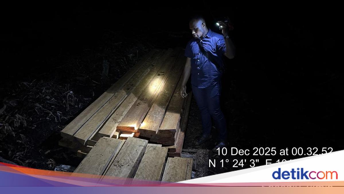 Pembalakan Liar di Bengkalis Dibongkar Polisi, 3 Orang Ditangkap