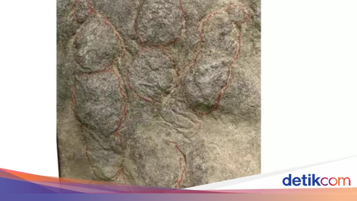 普通の石だと思われていたテラスの床は、1億9千万年前の恐竜の足跡だったことが判明
