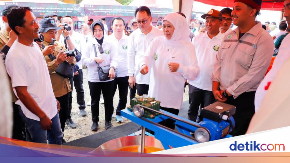 Khofifah Tanam 5.000 Pohon di Lumajang, Dorong Wujudkan Net Zero 2060