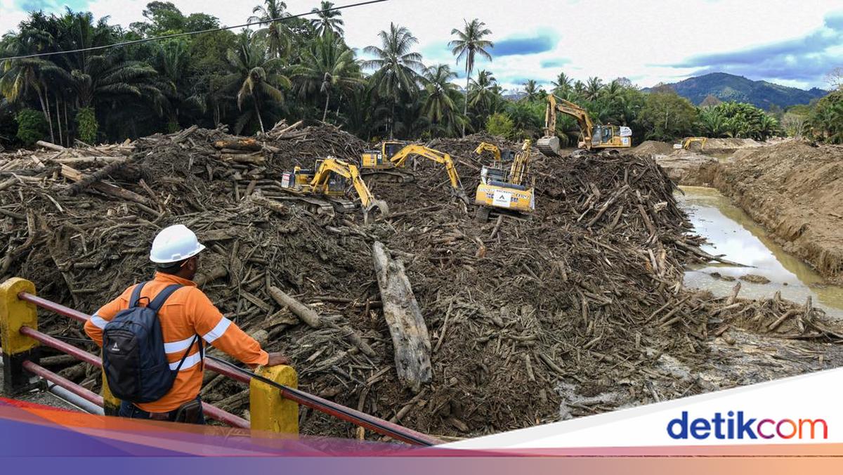 Penegasan Pemerintah soal Bencana Sumatera Prioritas Nasional
