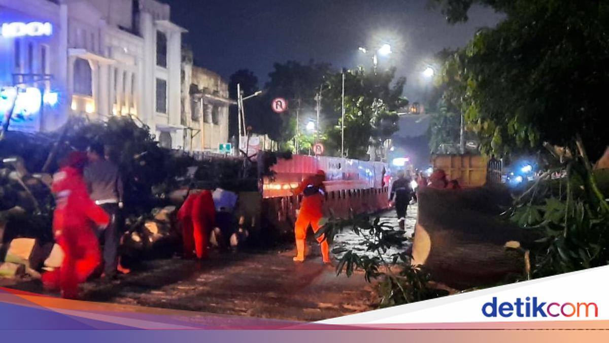 Pohon Tumbang di Pinangsia Jakbar Dievakuasi, Jalan Mulai Bisa Dilintasi