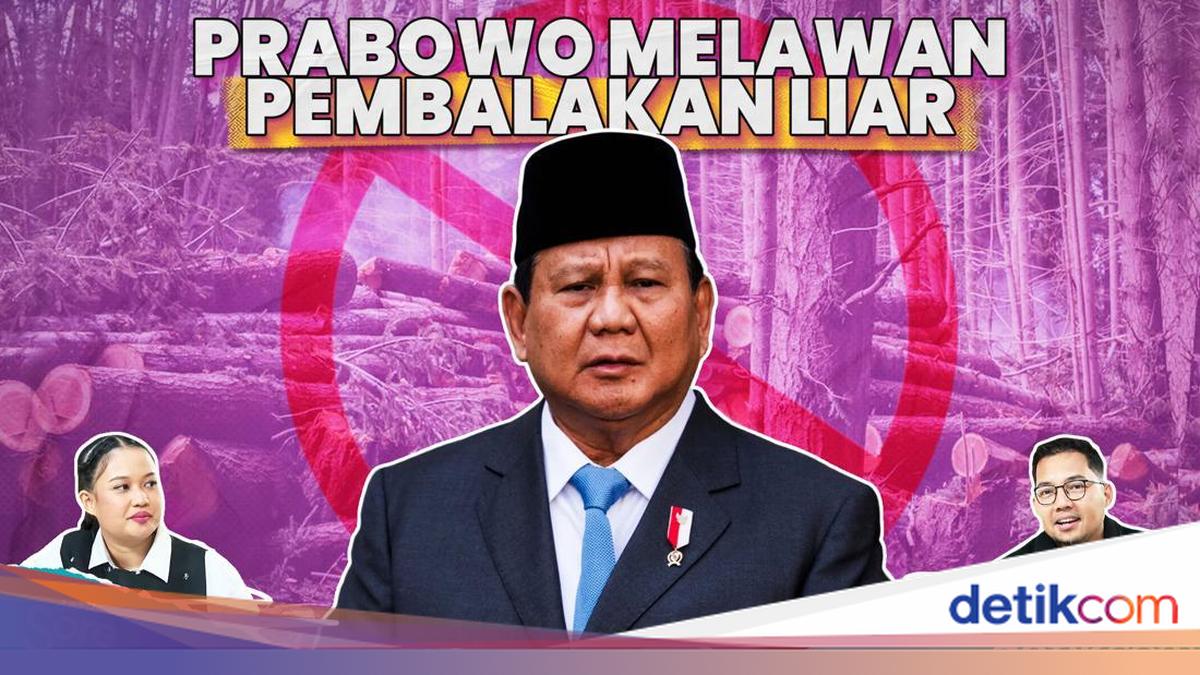 Niat Prabowo Perangi Pembalakan Liar di Sumatera
