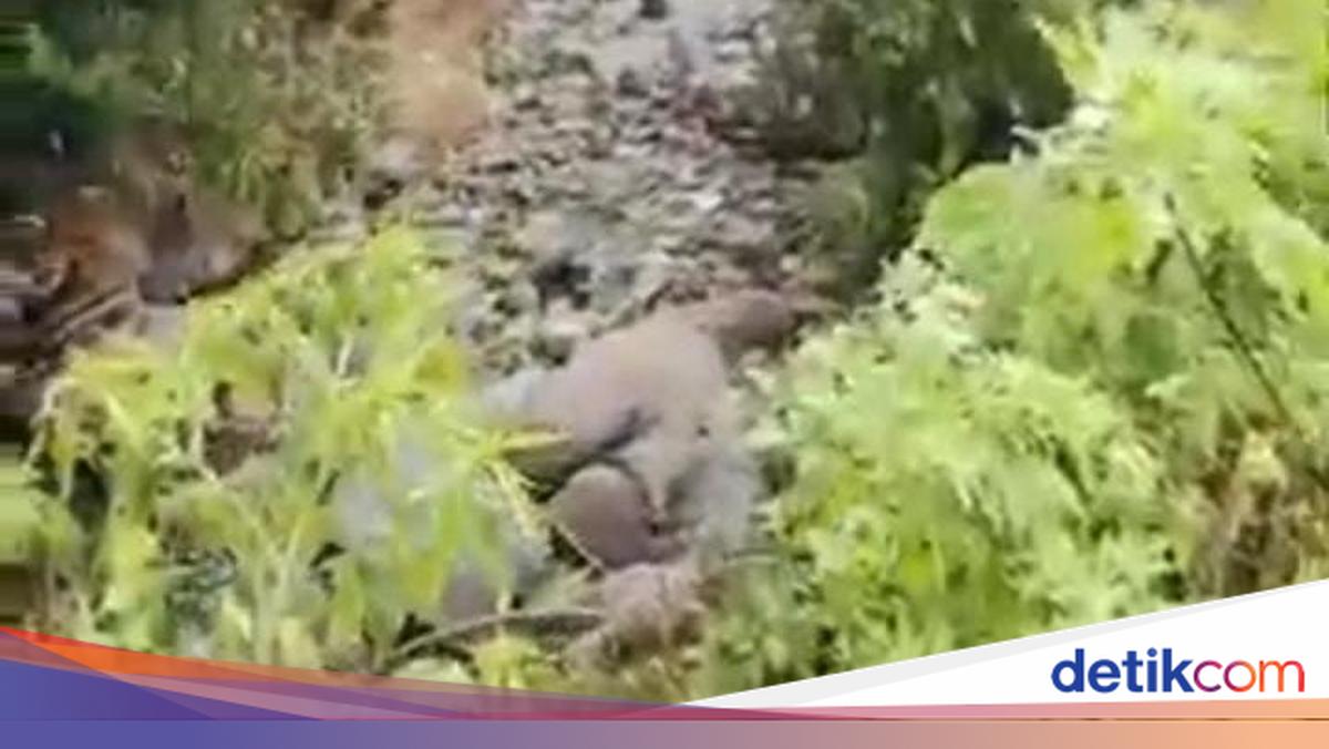 Heboh Air Sungai di Sumbar 'Menghilang', Badan Geologi Beri Penjelasan