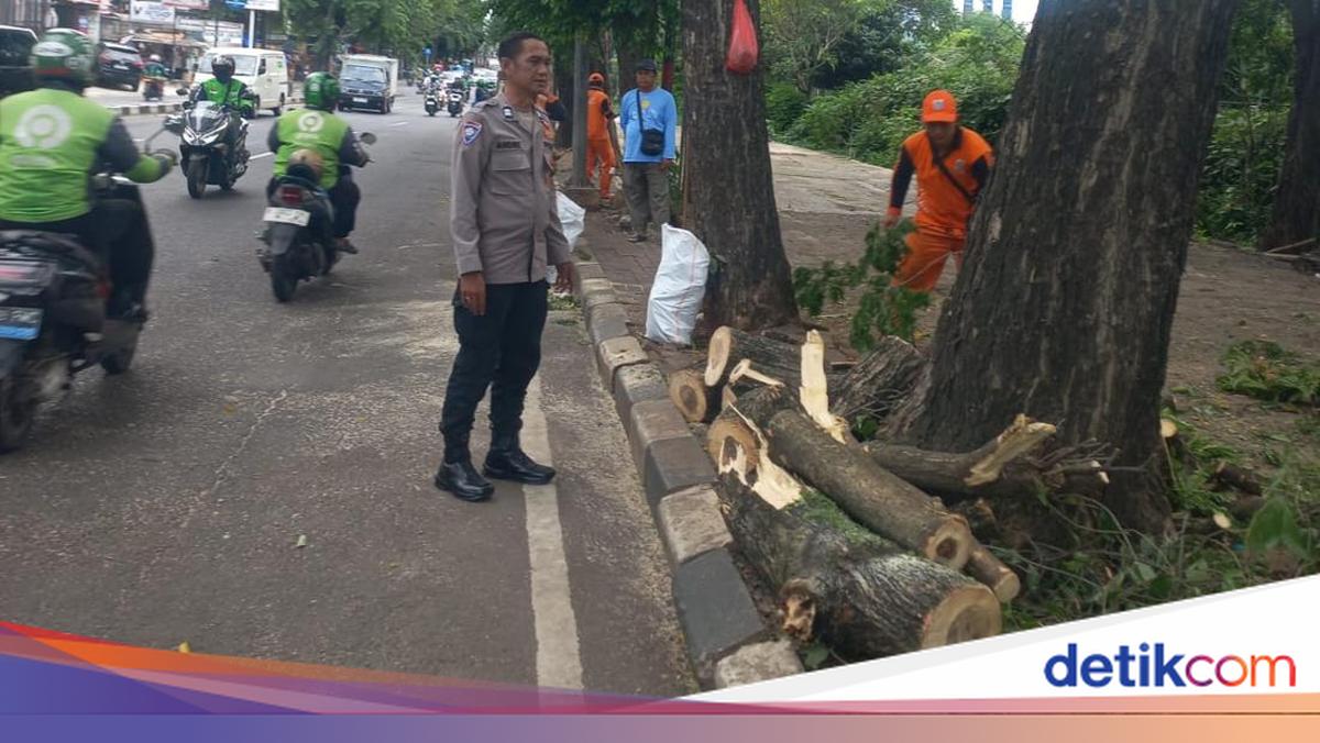 Terjadi Lagi Pohon Tumbang di Jakarta Timpa Warga