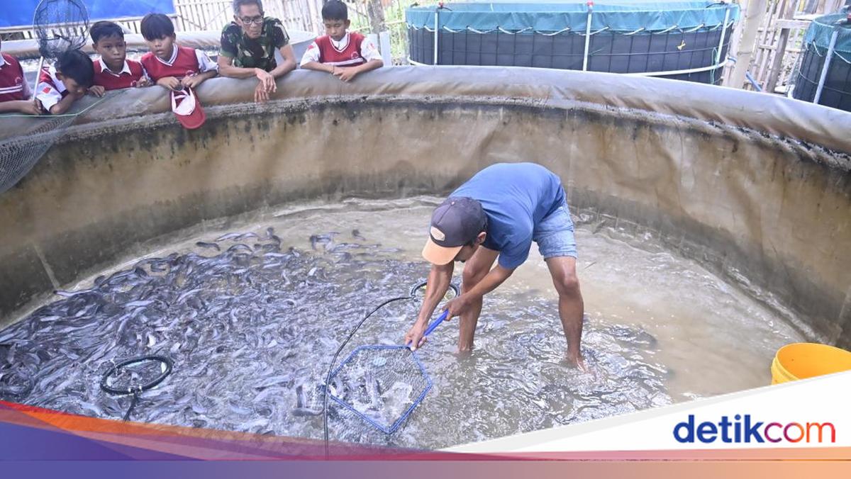 BNPT Dorong Budidaya Lele Bioflok di Desa Siapsiaga Jamblang Cirebon