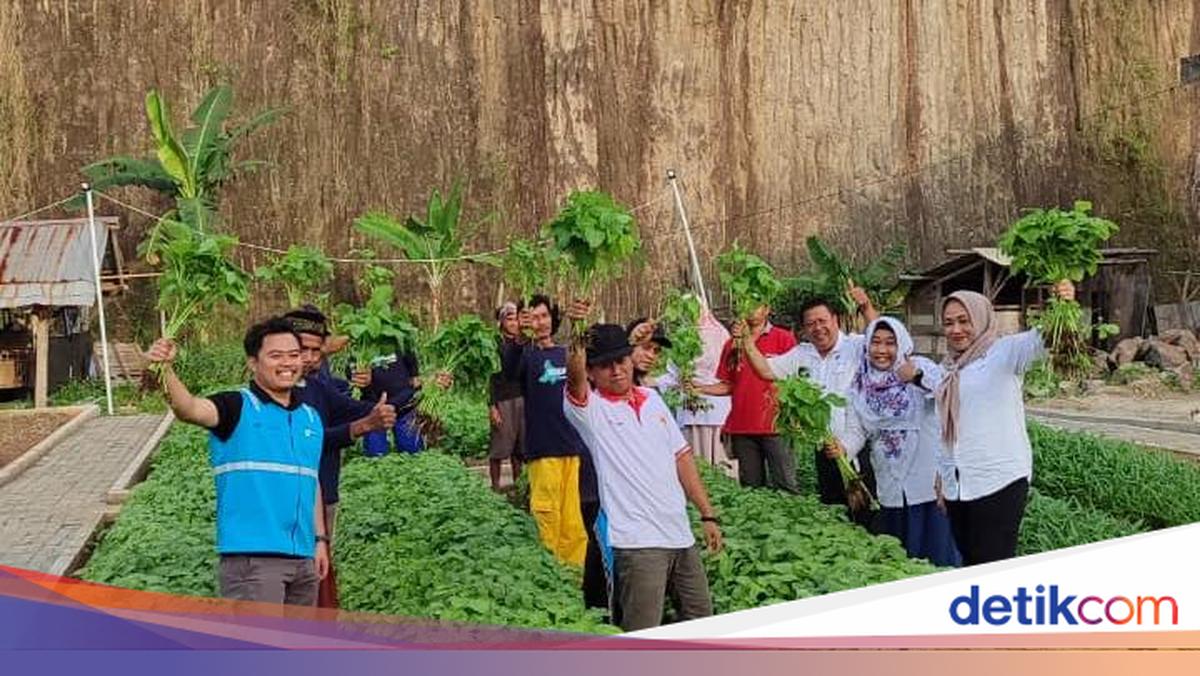 Lahan Bekas Tambang di Cilegon Disulap Jadi Area Pertanian-Hutan Tanaman Energi