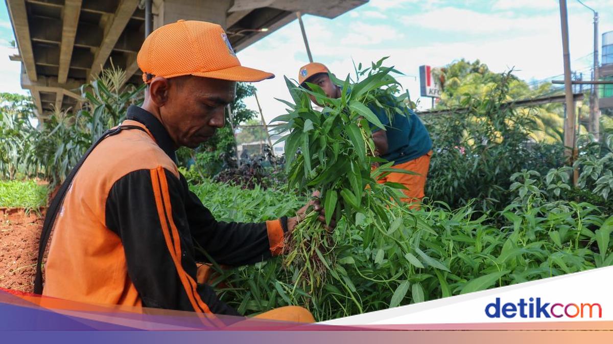 Benarkah Tumbuhan Tak Bisa Rasakan Sakit? Ini Penjelasan Ilmiahnya