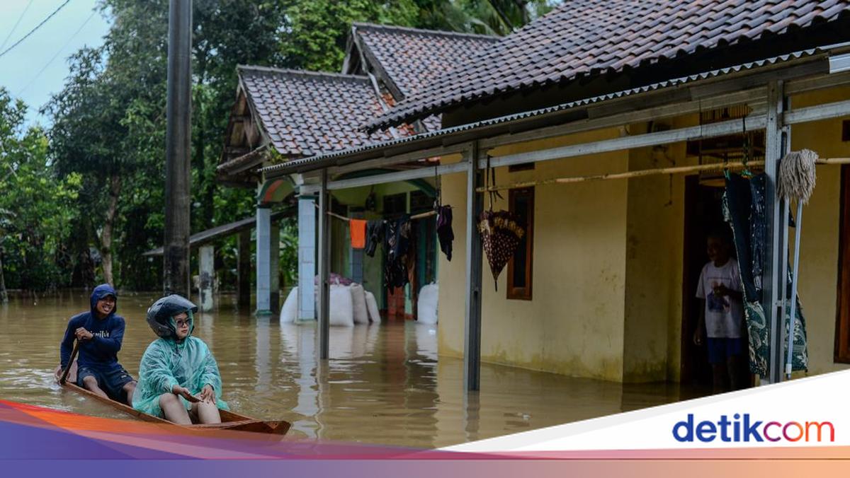 2 Ribu Hektare Sawah Terendam Banjir, Pemprov Banten Siapkan Bantuan Benih