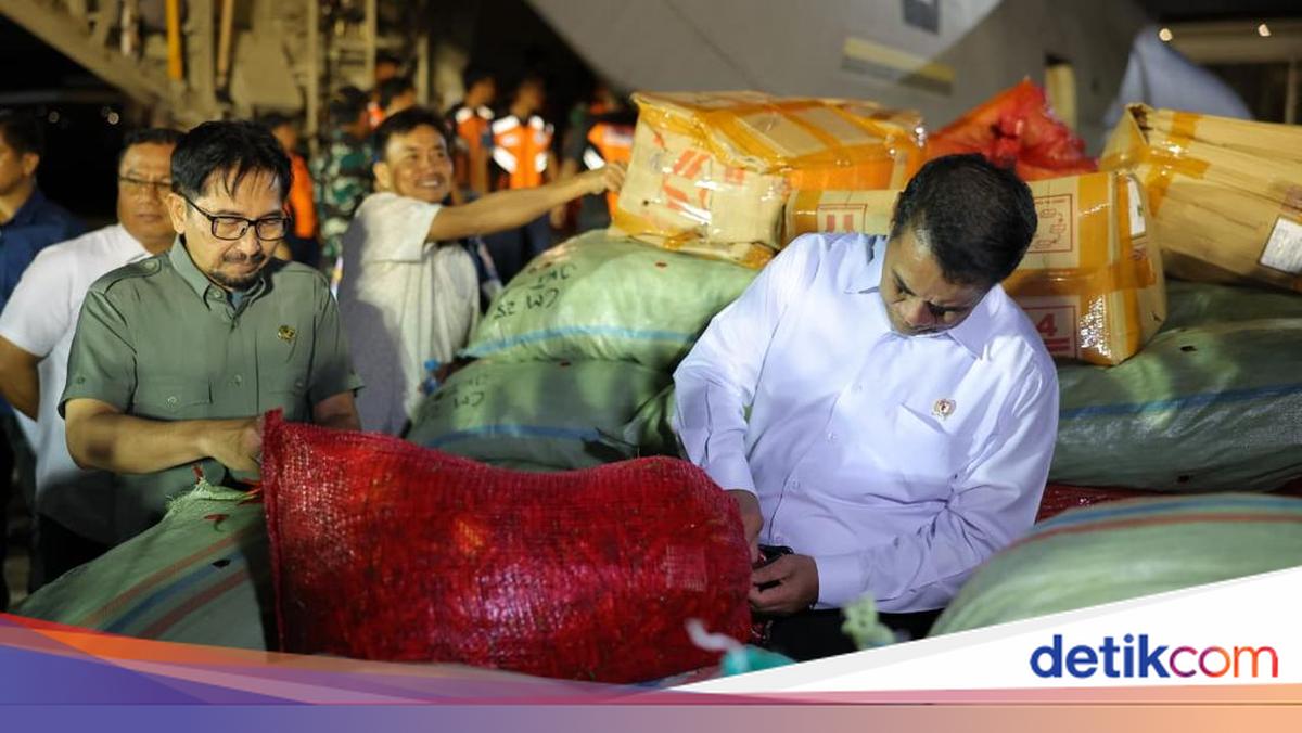 Mentan Beli 40 Ton Cabai Petani Aceh, Kirim Pakai Hercules ke Jakarta