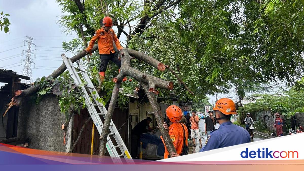 Hujan Disertai Angin Bikin Pohon Tumbang Timpa Warung di Bogor
