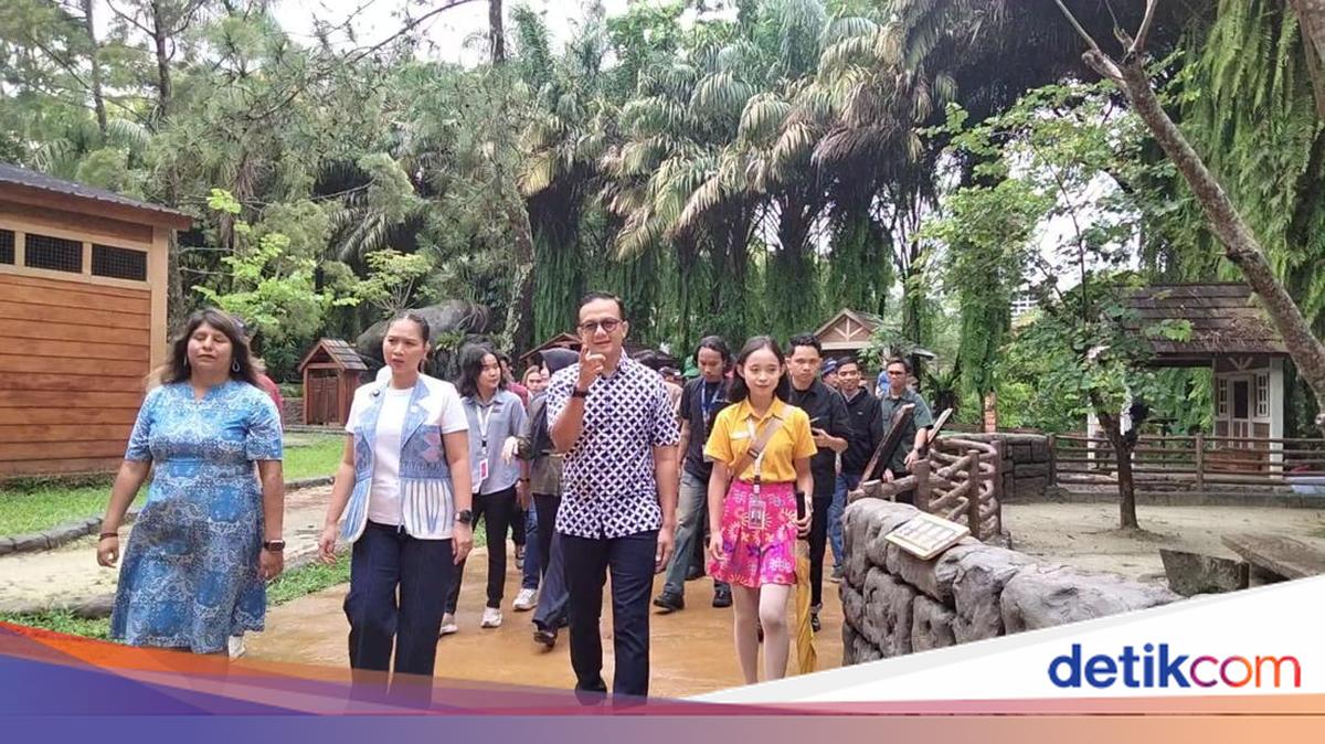 Wamenpar Cek Wisata di Bogor Jelang Libur Natal, Soroti Jalur Evakuasi