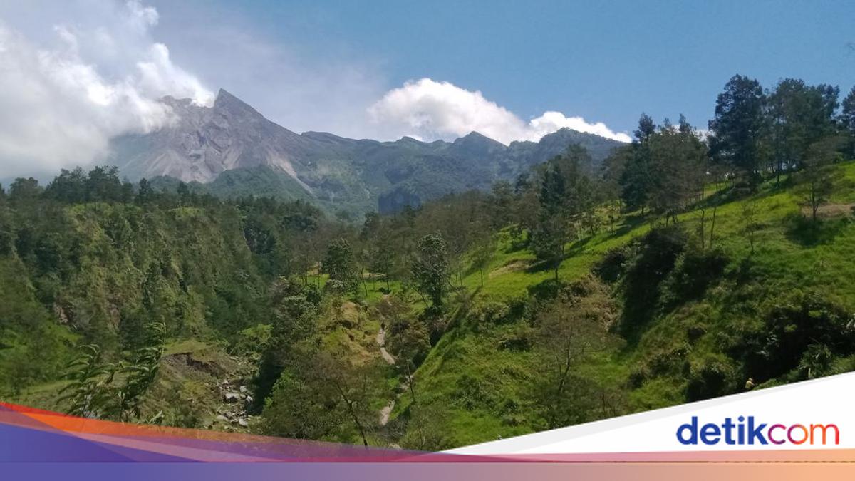Tim SAR Ungkap Ngerinya Lokasi Pendaki Merapi Tewas, Di Tebing Jarang ...
