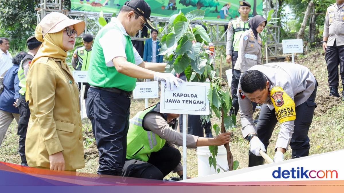 Tanam 11 Ribu Bibit Pohon di Hutan Undip, Kapolda Jateng: Investasi Kehidupan