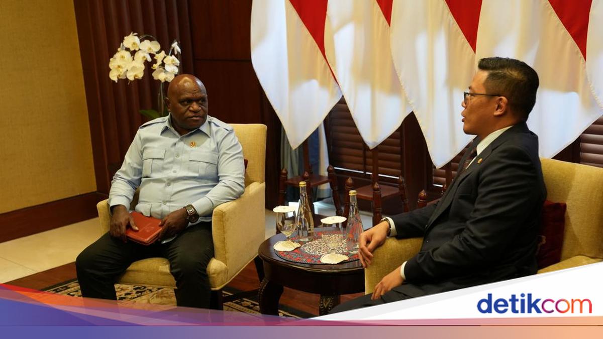 Puji Kinerja Menlu Sugiono, Pigai Sebut Diplomasi Indonesia Naik Kelas