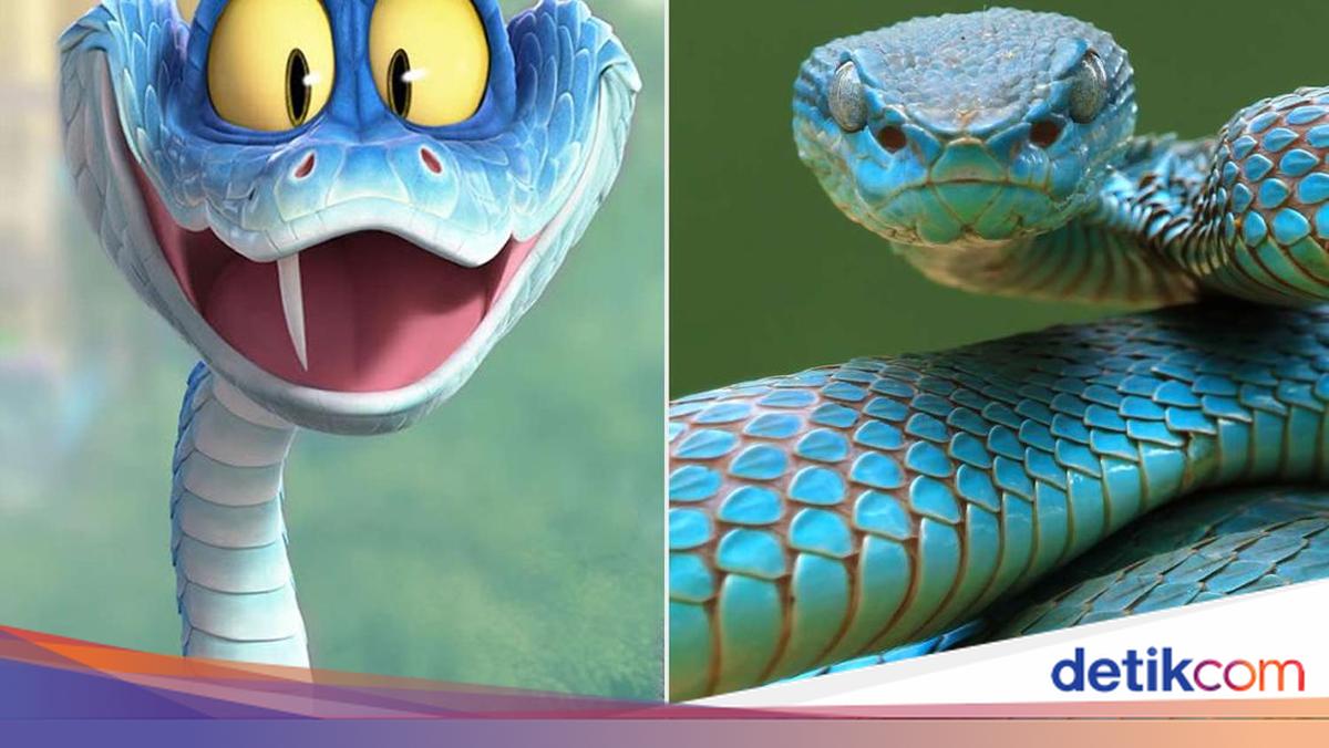 Mengenal Ular Blue Pit Viper Indonesia, Viral di China Gegara Zootopia 2