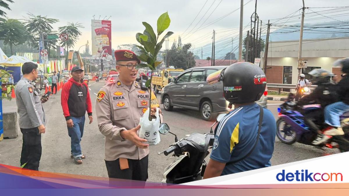 Tak Cuma Amankan Lalin, Polres Bogor Bagikan 1.000 Bibit Pohon di Puncak Cegah Bencana
