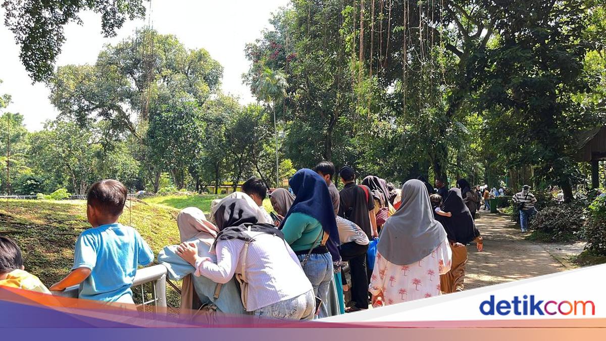 Libur Natal, Pengunjung Ragunan Tembus 28.876 Orang Siang Ini