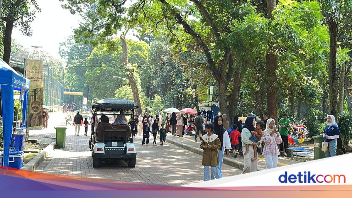 Momen Libur Natal, Ragunan Jaksel Dipadati Pengunjung Pagi Ini