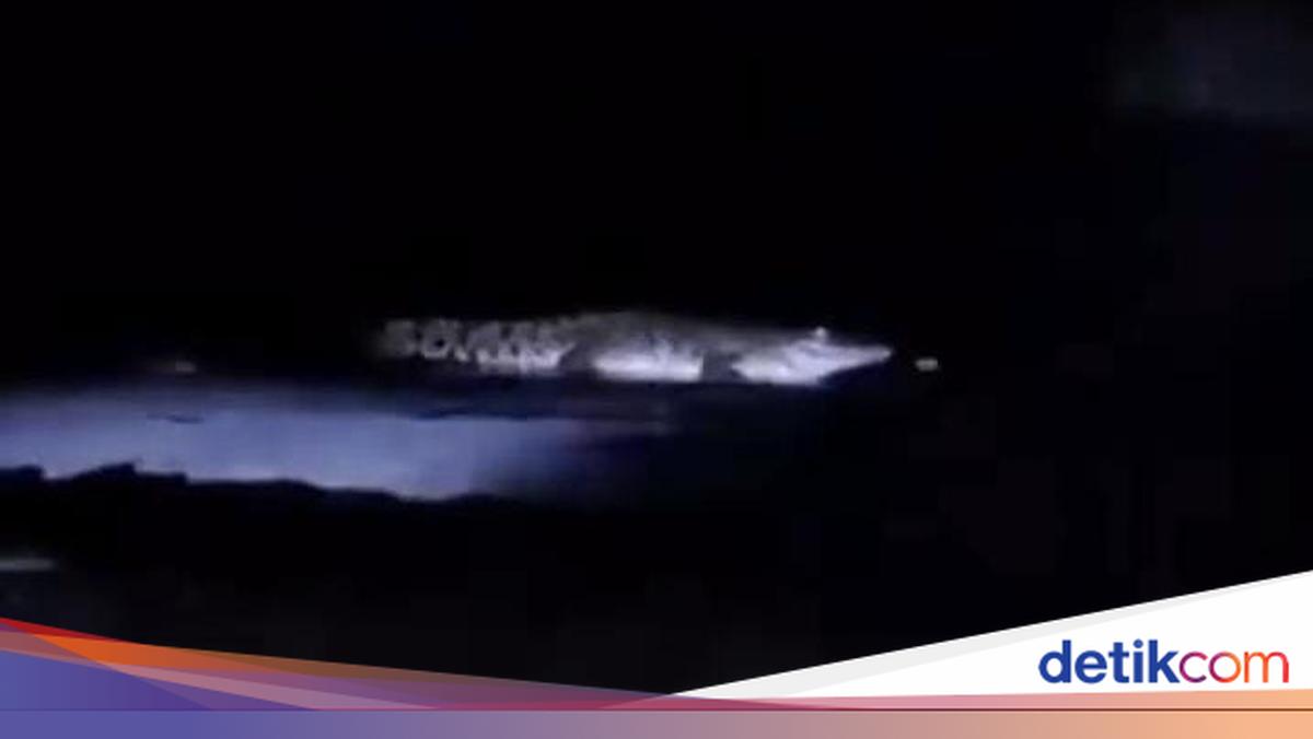 Viral Video Buaya Muncul di Pantai Malang, Polisi Minta Warga Lapor