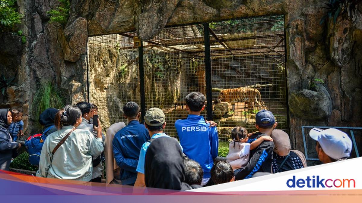 Gratis Masuk, Pengunjung Padati Kebun Binatang Bandung