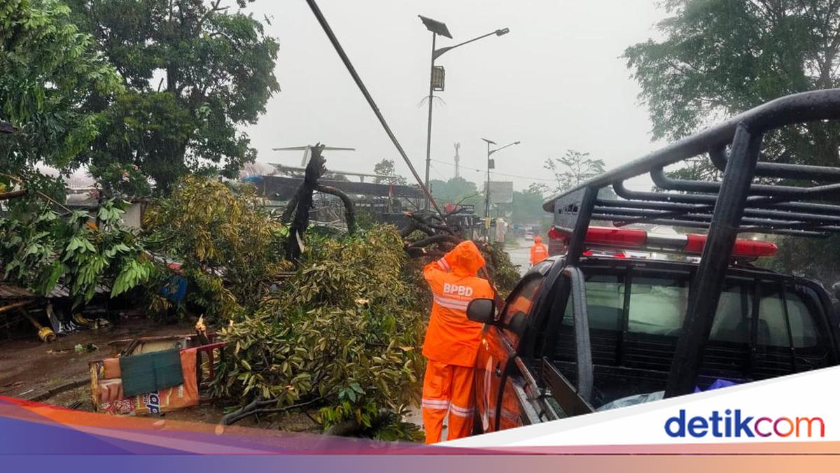 Hujan Angin di Kemang Bogor, Pohon Tumbang dan Sejumlah Bangunan Rusak