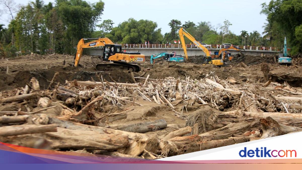 Satgas PKH: 12 Perusahaan Jadi Penyebab Banjir Sumatera, Akan Disanksi