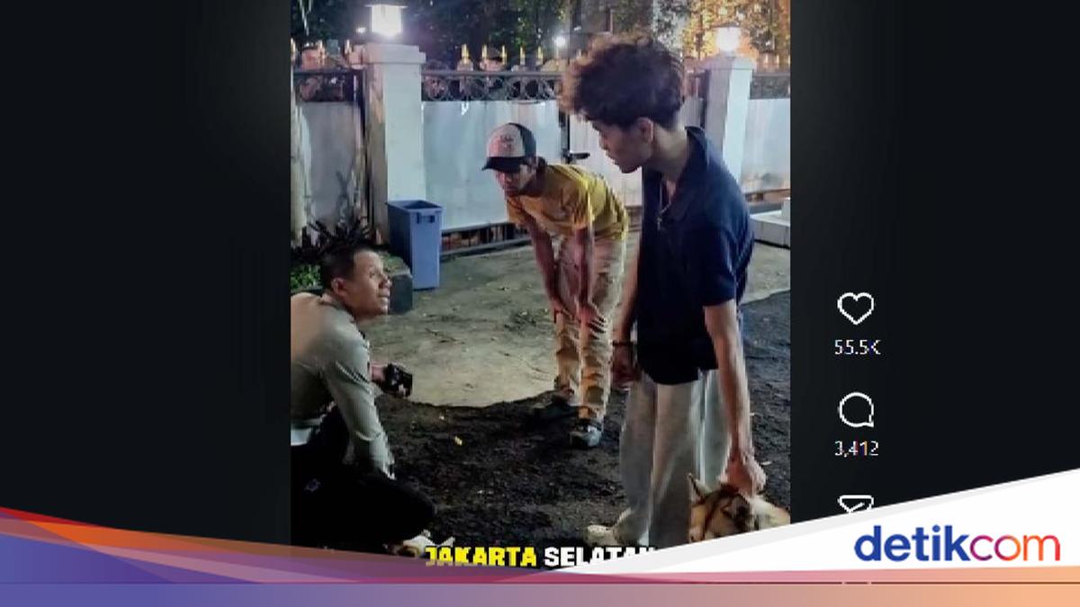 Anjing Gigit Kucing hingga Sekarat di Bandung, Pemilik Diminta Tanggung Jawab
