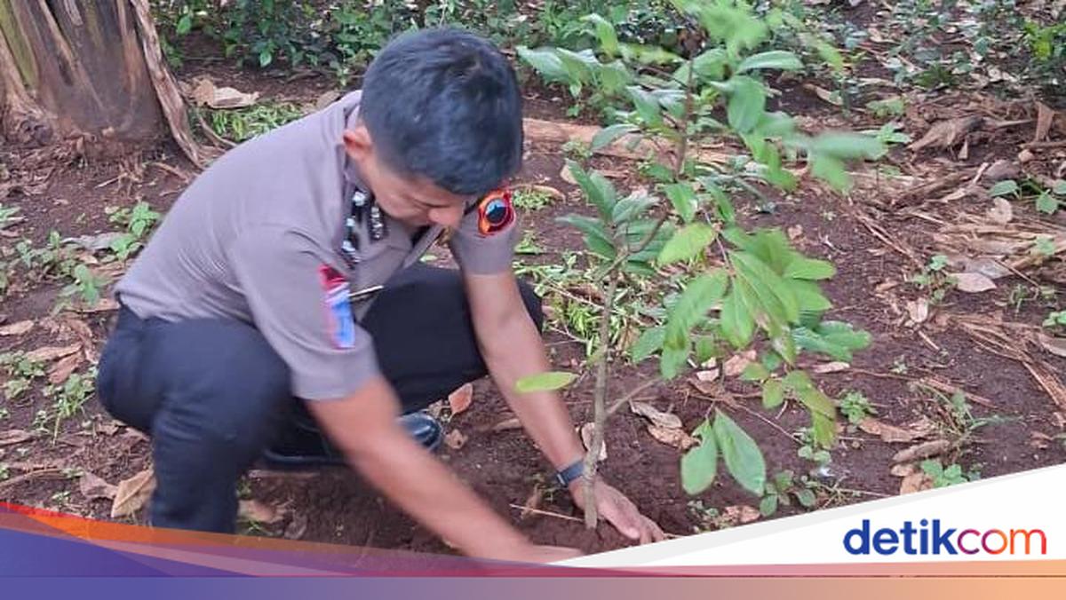 Lestarikan Lingkungan, Kapolda Jateng Ajak Anggota Naik Pangkat Tanam 13 Ribu Pohon