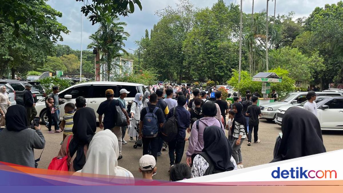 113 Ribu Pengunjung Padati Ragunan di Libur Tahun Baru 2026