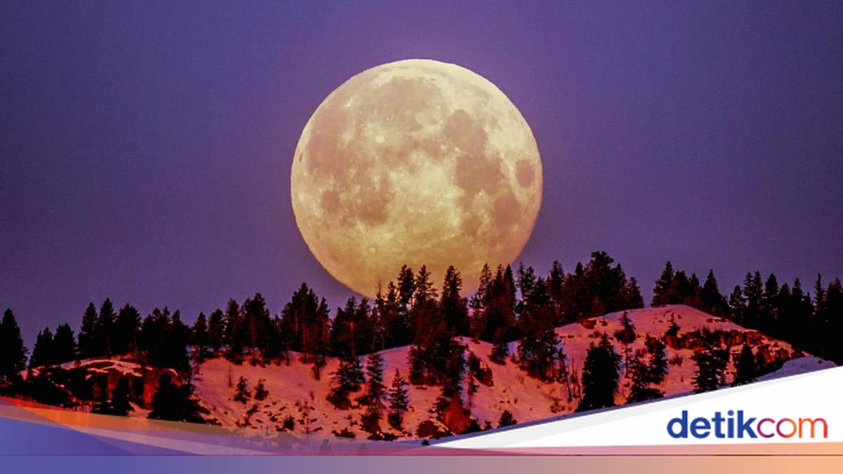 Ada Purnama Flower Moon di Mei 2026, Catat Waktu dan Tips Melihatnya