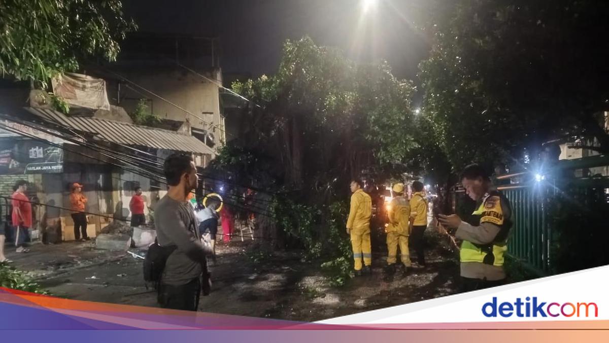 Polsek Palmerah Tangani Pohon Tumbang di KS Tubun Usai Terima Aduan Warga