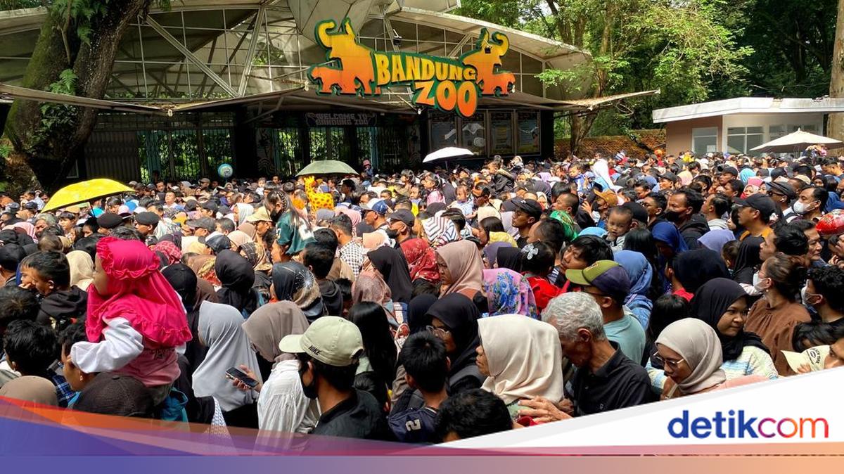 Pengunjung Bandung Zoo Membeludak di Hari Terakhir Tiket Gratis