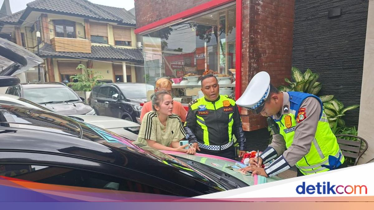 Viral Mobil Pakai Strobo-Sirine Shaun the Sheep, Berakhir Ditilang Polisi