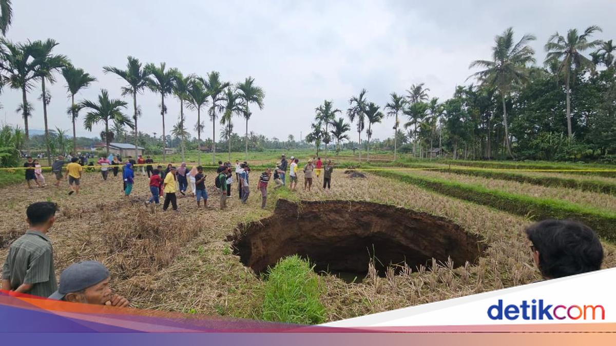 Heboh Lubang Raksasa Muncul di Tengah Sawah Warga Sumbar
