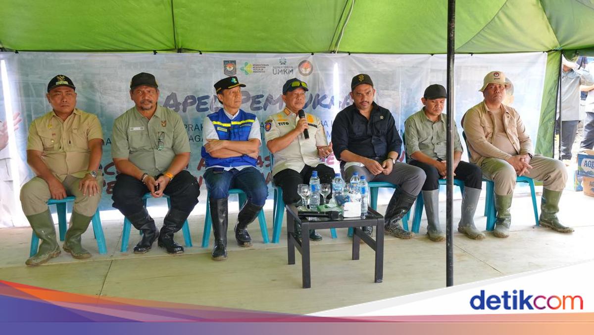 Mendagri Pastikan Stok Beras di Daerah Bencana Aman hingga 6 Bulan ke Depan