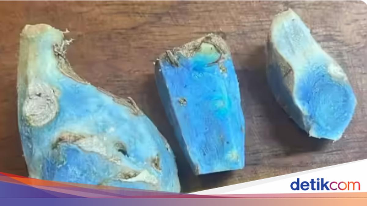 5 Bakery Jepang Hits di Jakarta hingga Fakta Kunyit Biru