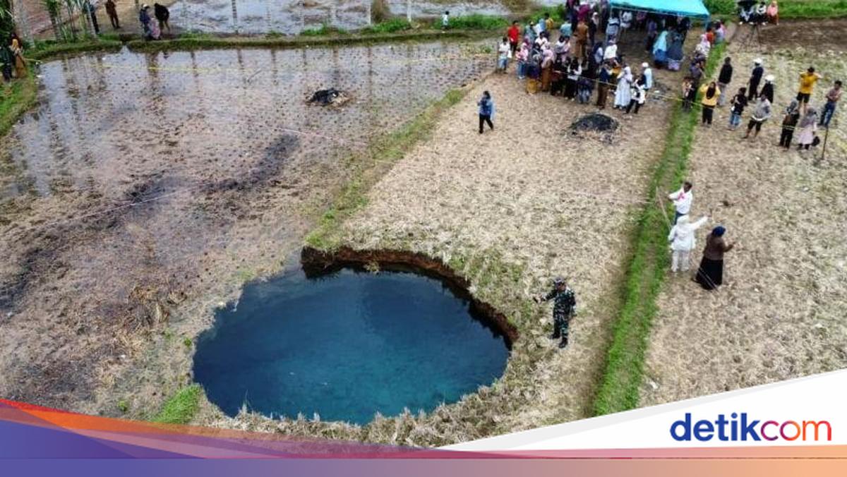 Badan Geologi Ungkap Penyebab Sinkhole di Tengah Sawah di Sumbar