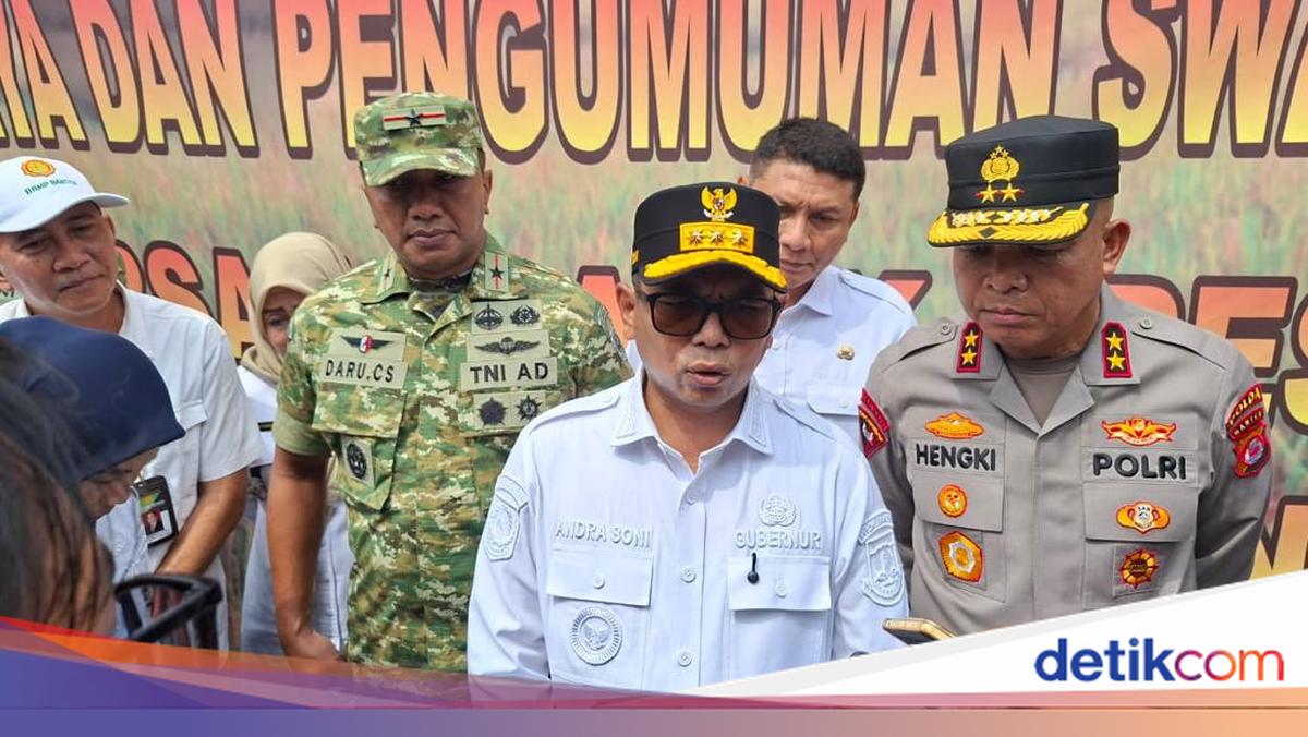 349 Ribu Hektare Sawah di Banten Panen Tahun 2025, Hasilkan 1,8 Juta Ton Padi