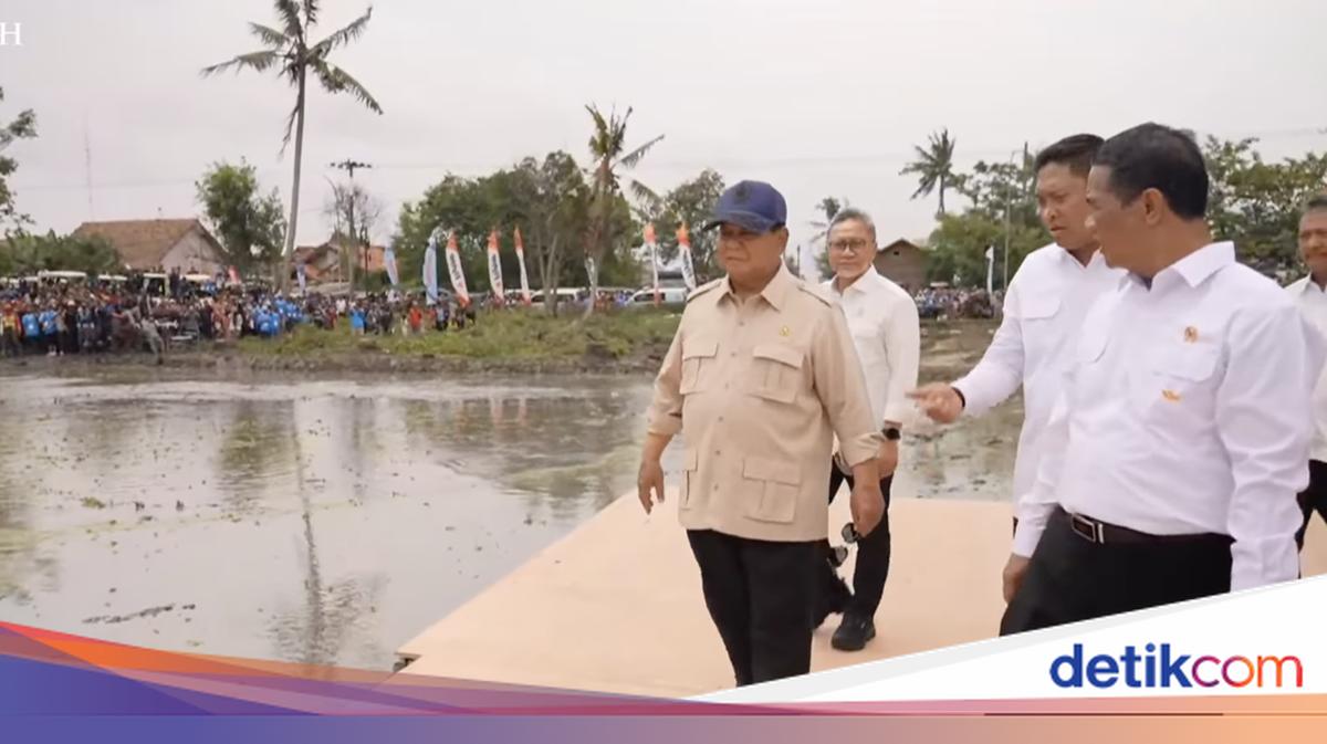 Prabowo Hadiri Panen Raya dan Pengumuman Swasembada Pangan di Karawang