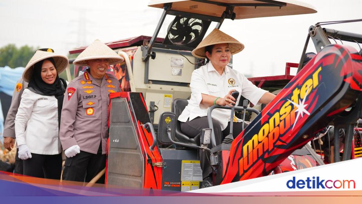 Swasembada Pangan, Titiek Soeharto Harap Pemerintah Bisa Ekspor Jagung