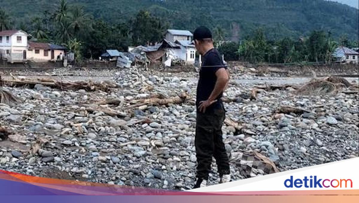 Setelah Air Surut, Petani Sawit di Sumatera Jalani Ritme Hari Berbeda