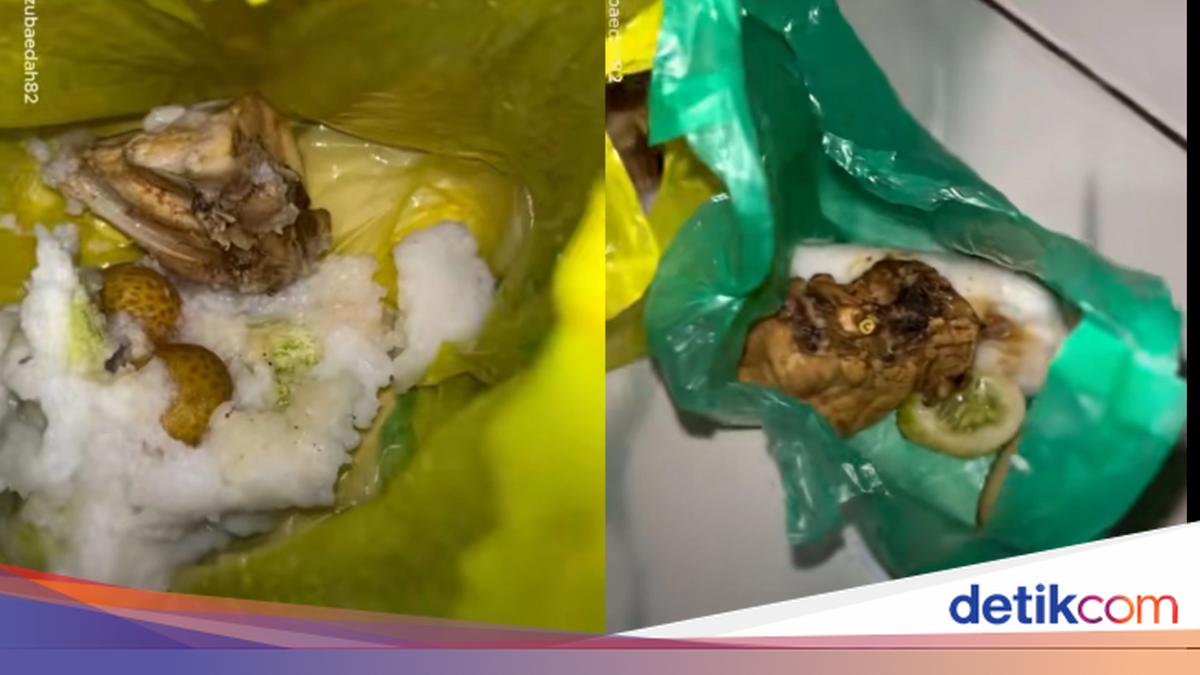 BGN Buka Suara Buntut MBG Balita-Bumil Pakai Kantong Kresek