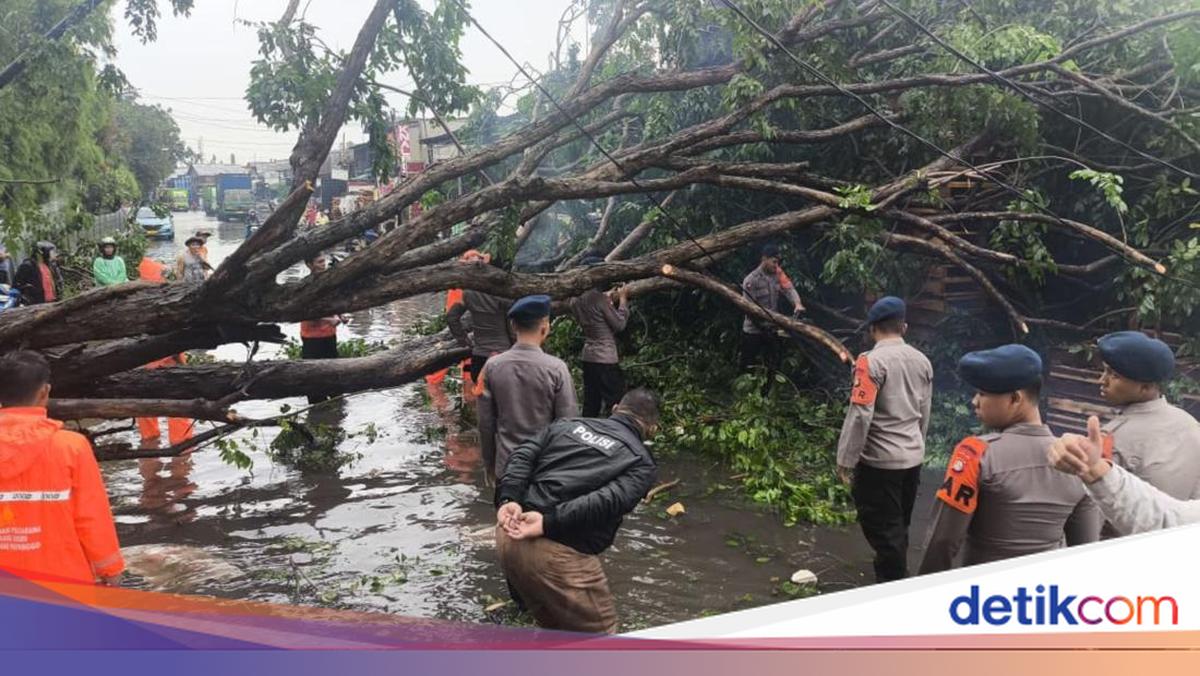 Banjir dan Pohon Tumbang di Priok, Brimob Polda Metro Turun Tangan