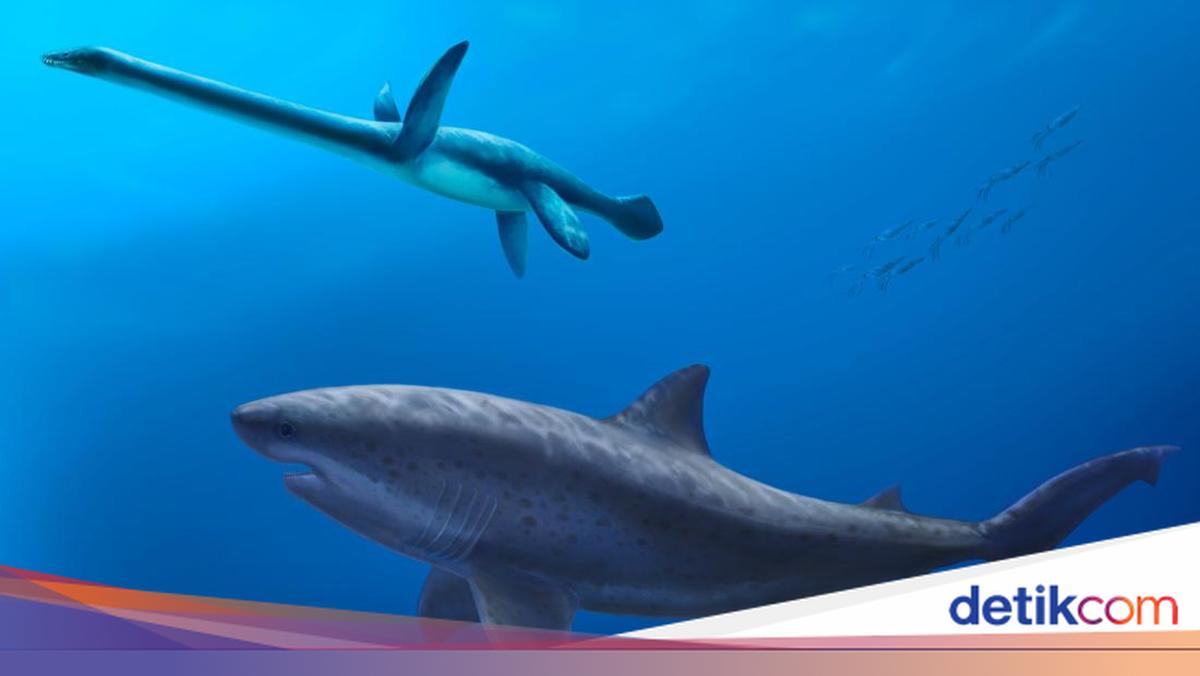 Ternyata Hiu Raksasa Ini Hidup Jauh Sebelum Ada Megalodon, Seberapa Besar?