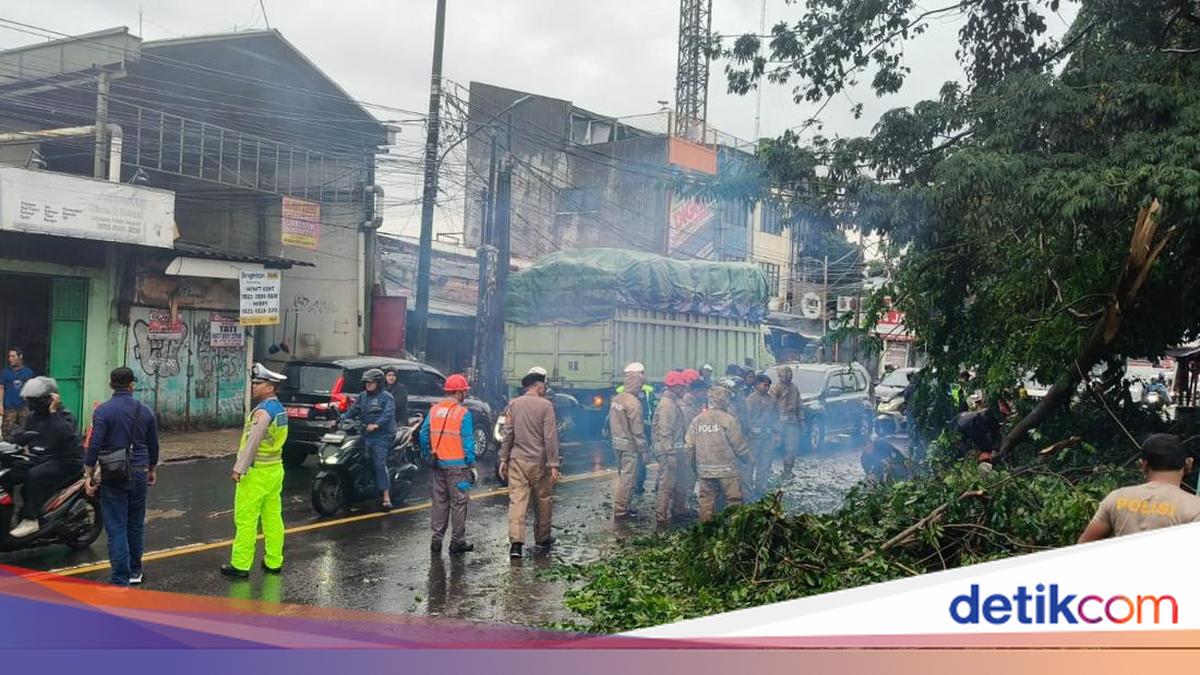 Hujan dan Angin Kencang, Pohon Tumbang di Ciputat Tangsel Timpa Mobil