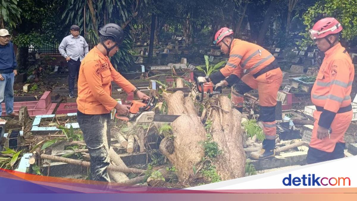 2 Pohon Tumbang Timpa Makam dan Tutup Jalan di Bogor, Kini Sudah Dievakuasi