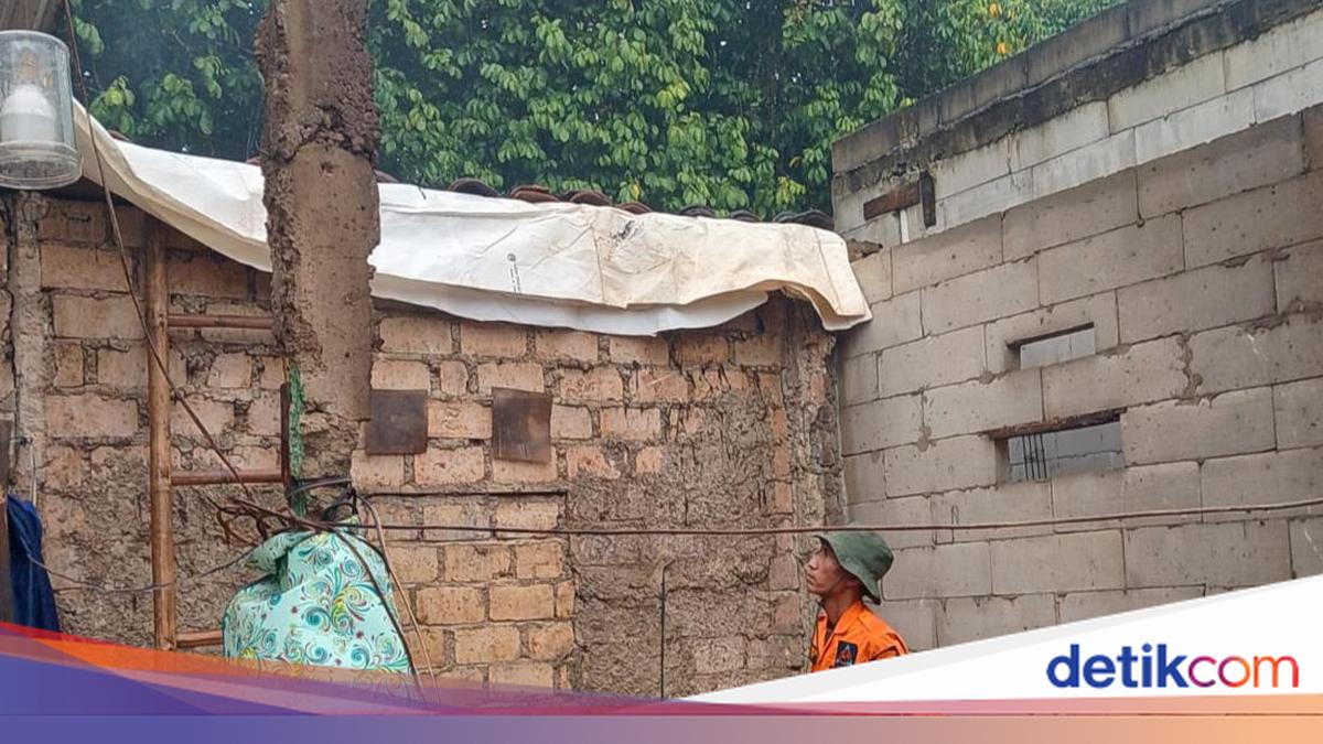 Hujan dan Angin Kencang, Pohon Tumbang Timpa 3 Rumah Warga Ciseeng Bogor