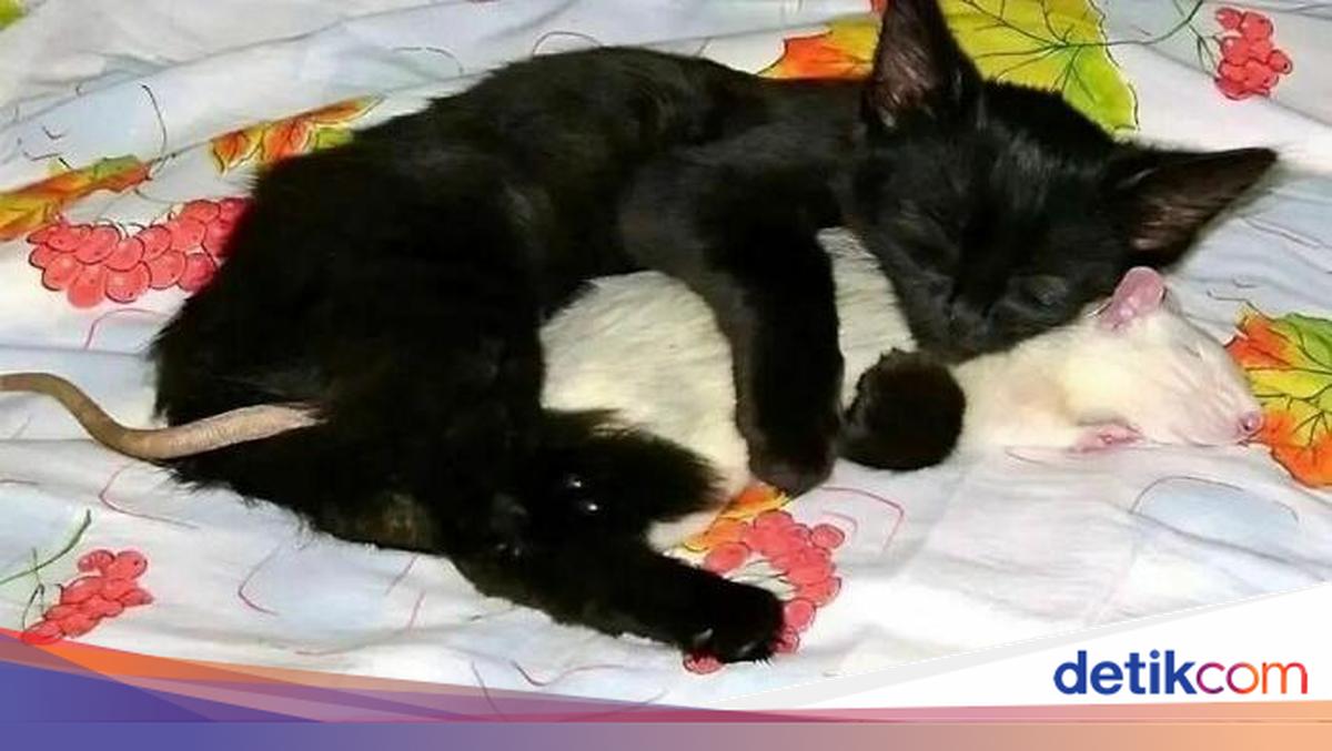 Funny Internet Images That Make You Question Everything