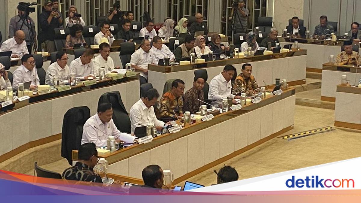 107 Ribu Hektare Sawah Rusak Akibat Bencana Sumatera, 820 Ribu Ternak Mati